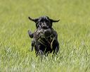 20220604-shl-1221
