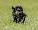 20220604-shl-1231