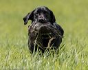 20220604-shl-1237