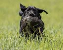 20220604-shl-1240