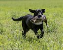 20220604-shl-1248