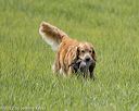 20220604-shl-1259