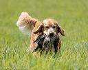 20220604-shl-1266