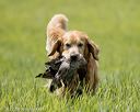 20220604-shl-1269