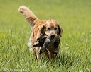 20220604-shl-1274