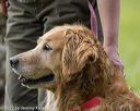 20220604-shl-1281
