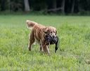 20220604-shl-1288