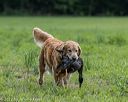 20220604-shl-1292