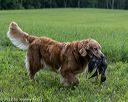 20220604-shl-1297