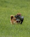 20220604-shl-1301