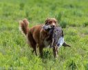 20220604-shl-1340