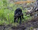 20220604-shw-0584