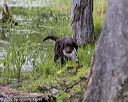 20220604-shw-1200