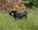 20220604-shw-1269