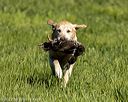 20220605-finl-0024