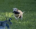 20220605-finl-0038