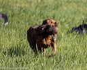 20220605-finl-0089