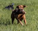 20220605-finl-0098
