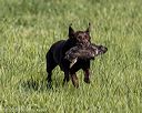 20220605-finl-0131