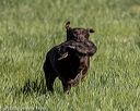 20220605-finl-0137