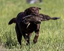 20220605-finl-0157
