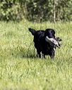 20220605-finl-0286