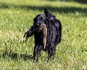 20220605-finl-0309