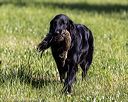 20220605-finl-0313