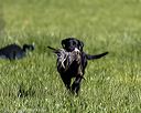 20220605-finl-0346