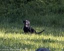 20220605-finl-0358