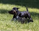 20220605-finl-0405