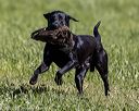 20220605-finl-0423
