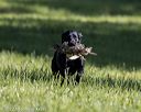 20220605-finl-0426