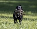 20220605-finl-0444