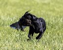 20220605-finl-0455