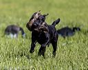 20220605-finl-0465