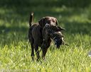 20220605-finl-0541