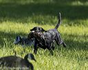 20220605-finl-0645