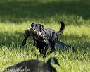 20220605-finl-0647