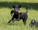 20220605-finl-0664