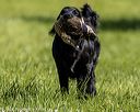 20220605-finl-0819