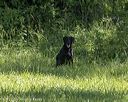 20220605-finl-1018