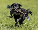 20220605-finl-1168