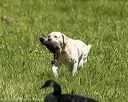 20220605-finl-1614