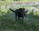 20220605-finw-0011