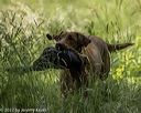 20220605-finw-0082