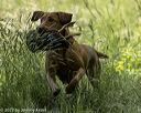 20220605-finw-0086