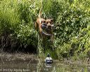 20220605-finw-0108