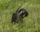 20220605-finw-0138