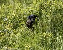 20220605-finw-0190